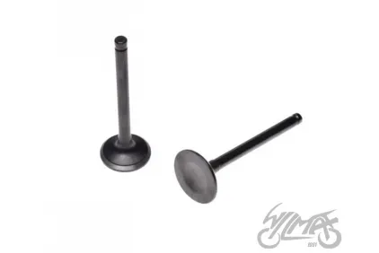 VALVE SET, IN.&EX.