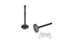 VALVE SET, INT&EXH ATV 110