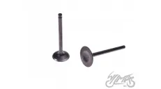 VALVE SET, INT&EXH 125 CCM CROSS 4T
