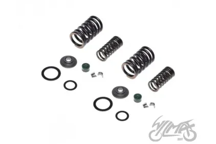 SPRING SET, VALVE LONCIN CROSS 250