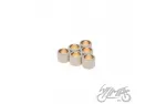 ROLLER SET, VARIATOR 16X13 6,5G H