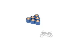 ROLLER SET, VARIATOR 17X13 5,5G TGB