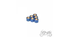 ROLLER SET, VARIATOR 17X13 6,0G TGB