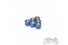 ROLLER SET, VARIATOR 23X18 25,0G 4T