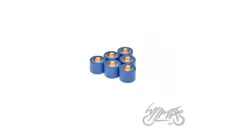 ROLLER SET, VARIATOR 23X18 25,0G 4T