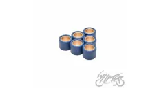 ROLLER SET, VARIATOR 23X18 22,0G 4T