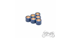 ROLLER SET, VARIATOR 23X18 12,0G 4T