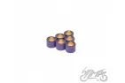 ROLLER SET, VARIATOR 17X13,5 7,5G TGB