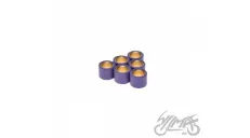ROLLER SET, VARIATOR 17X13,5 7,5G TGB