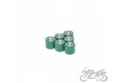 ROLLER SET, VARIATOR 19x17 8,4g