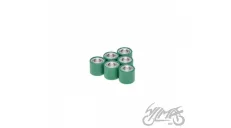 ROLLER SET, VARIATOR 19x17 8,4g