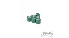 ROLLER SET, VARIATOR 19x17 10,2g
