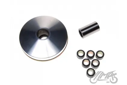 VARIATOR ASSY, S-AG50