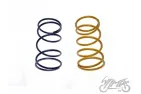 SPRING SET, CLUTCH CENTRAL TUNING 2PCS 4T