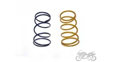 SPRING SET, CLUTCH CENTRAL TUNING 2PCS 4T