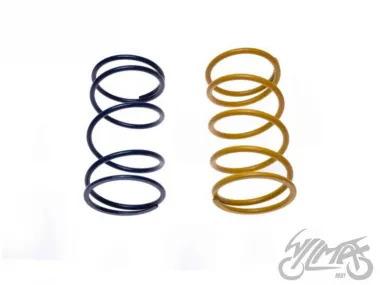 SPRING SET, CLUTCH CENTRAL TUNING 2PCS 4T