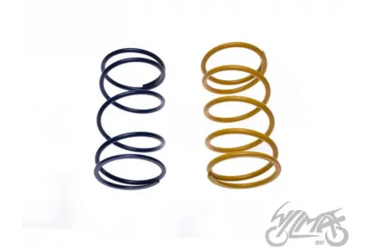 SPRING SET, CLUTCH CENTRAL TUNING 2PCS 4T