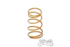 SPRING, CLUTCH CENTRAL TUNING GY6 / DIO 4T