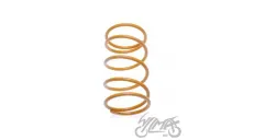 SPRING, CLUTCH CENTRAL TUNING GY6 / DIO 4T