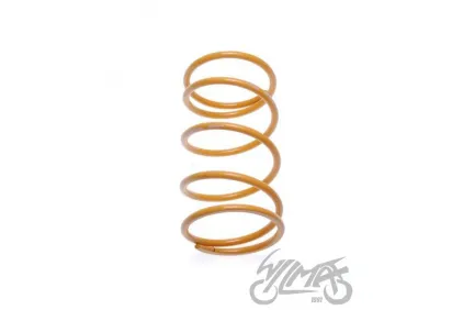 SPRING, CLUTCH CENTRAL TUNING GY6 / DIO 4T