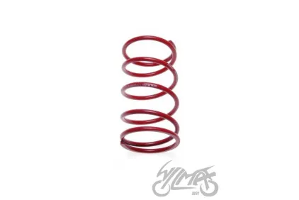 SPRING, CLUTCH CENTRAL TUNING GY6 / DIO 4T