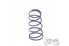 SPRING, CLUTCH CENTRAL TUNING HONDA 100