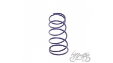 SPRING, CLUTCH CENTRAL TUNING HONDA 100