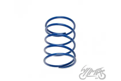 SPRING, CLUTCH CENTRAL 2T TUNING LOW