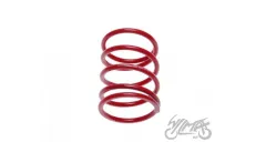 SPRING, CLUTCH CENTRAL 2T TUNING LOW