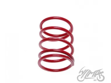 SPRING, CLUTCH CENTRAL 2T TUNING LOW