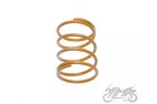 SPRING SET, CLUTCH CENTRAL TUNING 2PCS 4T LOW