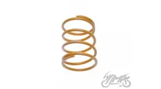 SPRING SET, CLUTCH CENTRAL TUNING 2PCS 4T LOW