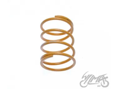 SPRING SET, CLUTCH CENTRAL TUNING 2PCS 4T LOW