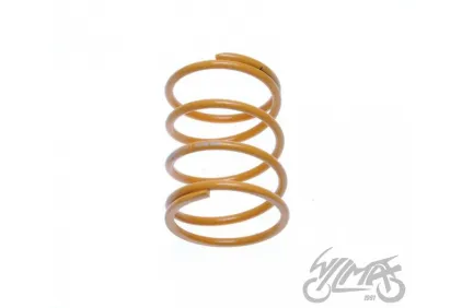 SPRING SET, CLUTCH CENTRAL TUNING 2PCS 4T LOW