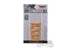 SPRING SET, CLUTCH CENTRAL TUNING 2PCS 4T LOW