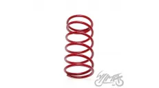 SPRING, CLUTCH CENTRAL TUNING JOG 2T