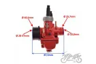 CARBURETOR ASSY 19 mm REPLACING DELLORTO TYPE PHBG RED