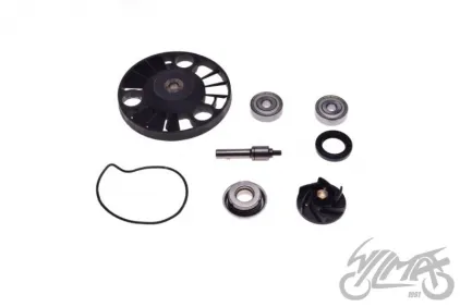 PUMP ASSY, WATER FOR APRILIA ATLANTIC 125 PIAGGIO X8/9