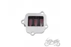 REED VALVE FOR YAMAHA CY80
