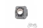 CYLINDER ASSY CERAMIC DIA. 40,00 PIAGGIO 50