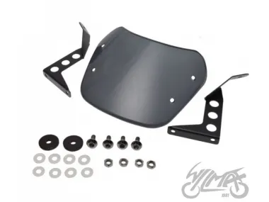 PRIEKINIS STIKLAS BENELLI Leoncino 250