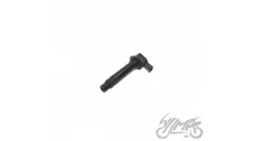 UŽDEGIMO RITĖ BENELLI 702