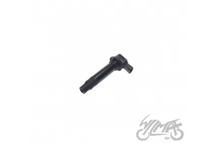 UŽDEGIMO RITĖ BENELLI 702