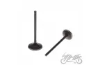 VALVE SET, IN.+EX. FOR ATV BASHAN 250