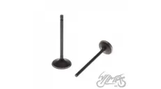 VALVE SET, IN.+EX. FOR ATV BASHAN 250
