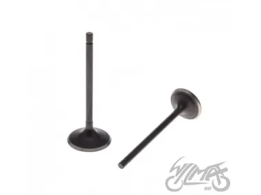 VALVE SET, IN.+EX. FOR ATV BASHAN 250