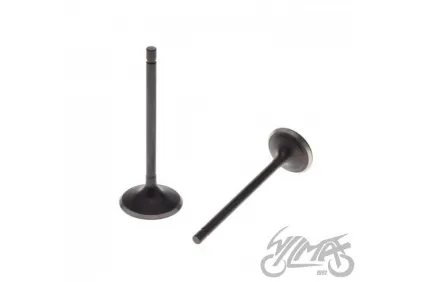 VALVE SET, IN.+EX. FOR ATV BASHAN 250