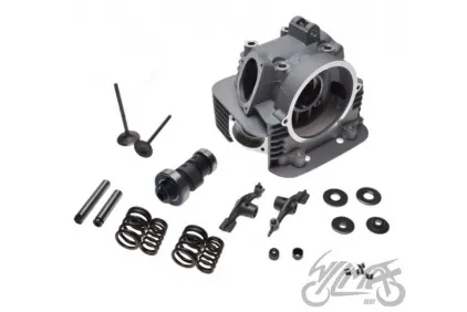 CYLINDER HEAD ASSY. FOR ATV BASHAN BS250S-5