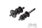 MAIN AND COUNTER SHAFT ASSY FOR ATV BASHAN BS250S-5
