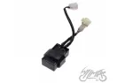 CDI FOR ATV BASHAN BS250S-5